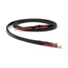 Tellurium Q Black II Speaker Cable Banana 2M